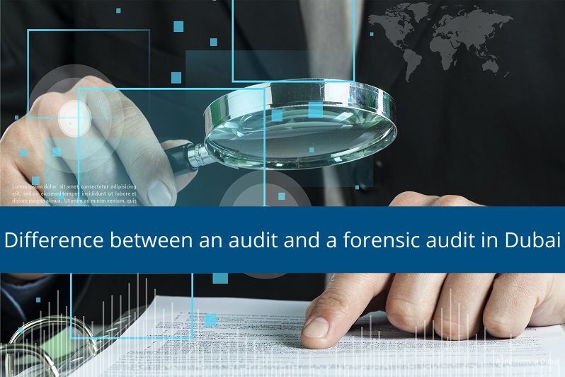 forensic audit services