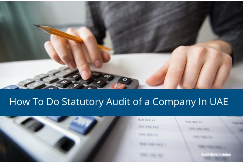 Statutory Audit