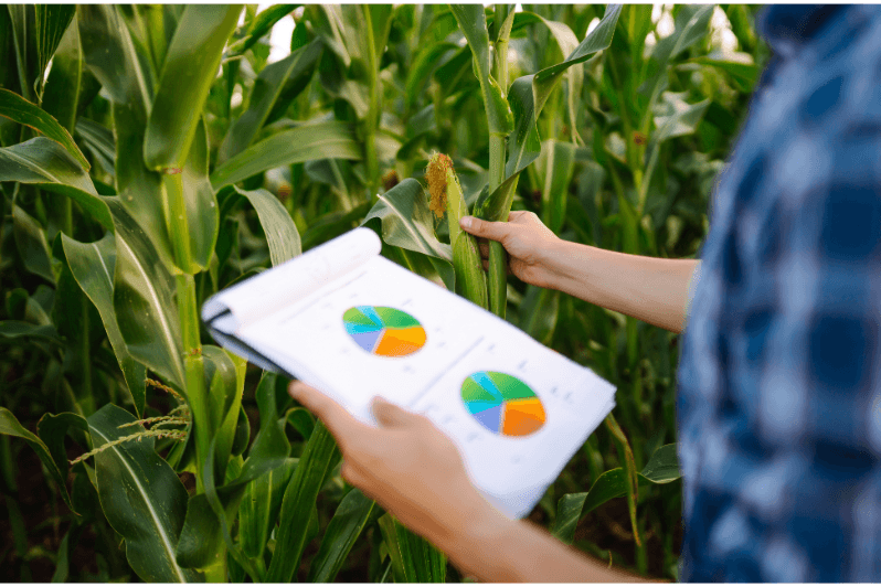 audit services measure fair value agriculture using ifrs 1 ias 41