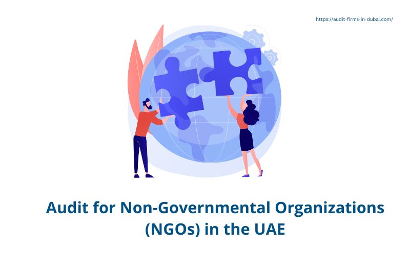 Audit for NGO