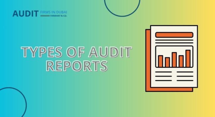 Types of Audit Report | 5 C's and 7 E’s