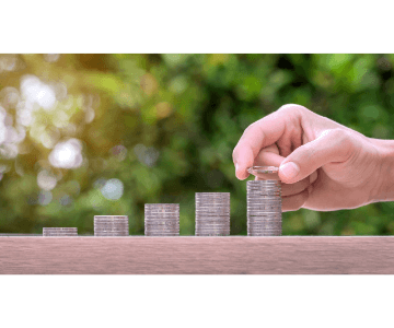 Strata Audit